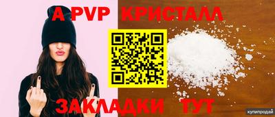 тгк Новозыбков