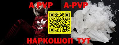 тгк Новозыбков