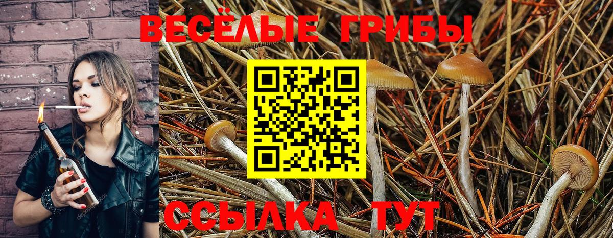 Галлюциногенные грибы прущие грибы Рыбинск