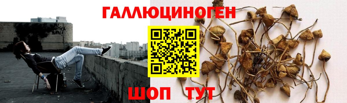 Галлюциногенные грибы ЛСД  Вход с VPN  Рыбинск  Галлюциногенные грибы прущие грибы 